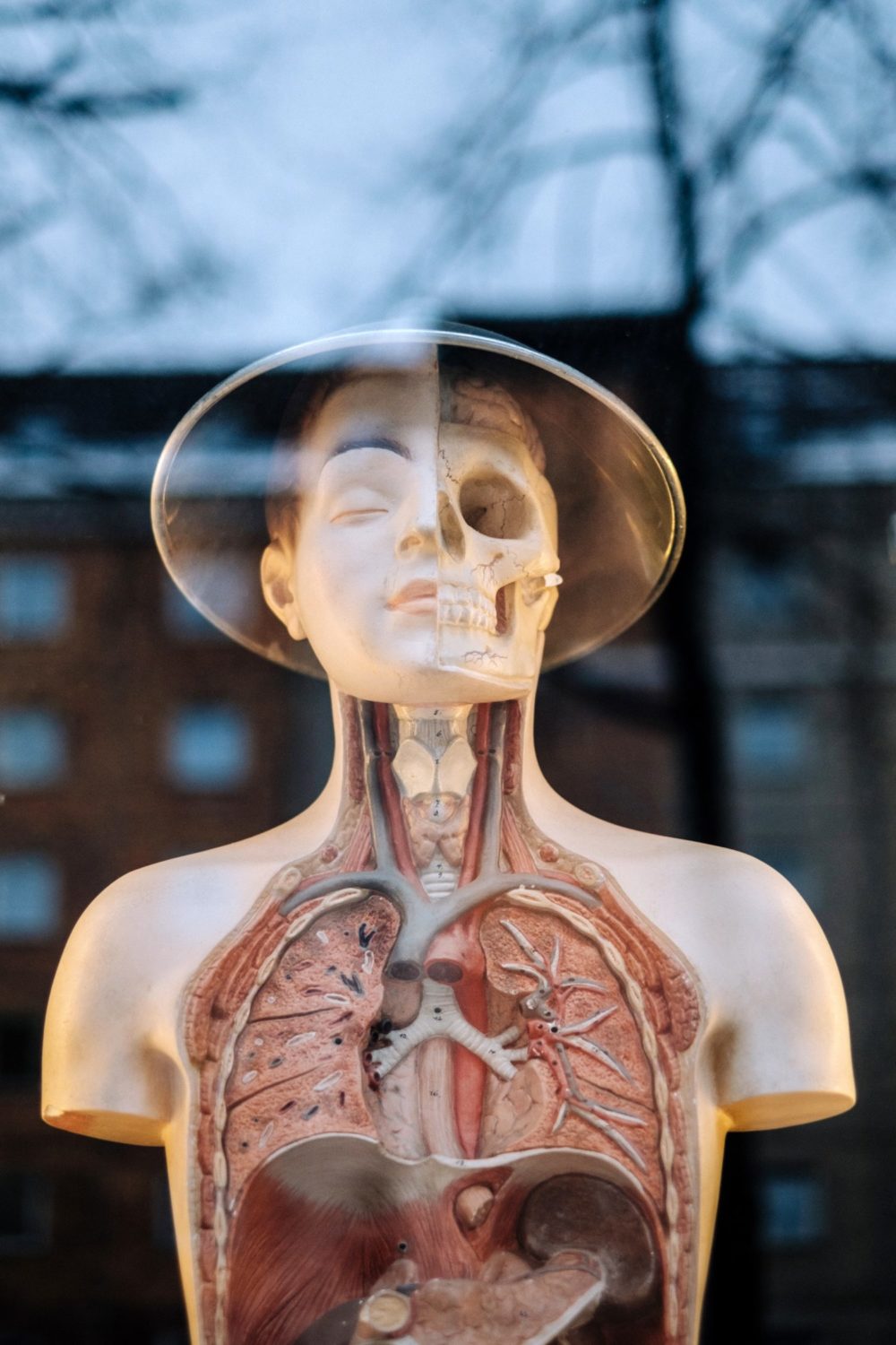 samuel-zeller-113381-unsplash lung therapies
